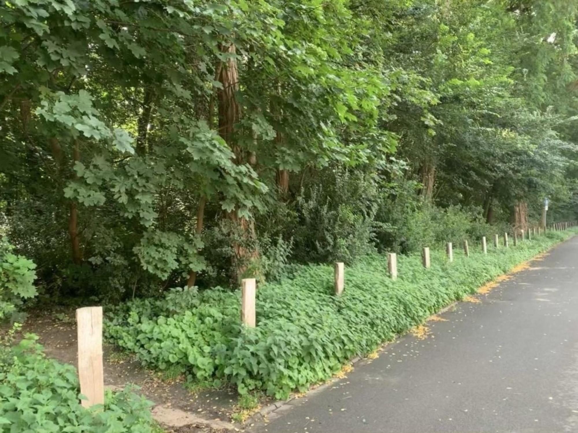 Am Nordglacis Wesel  Exteriör bild
